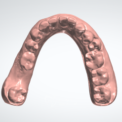 - - Vietnam Dental Lab