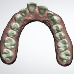 - - Vietnam Dental Lab