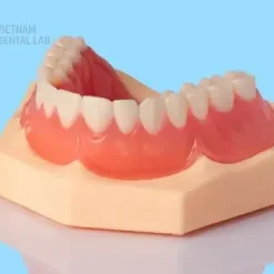 Digital dentures